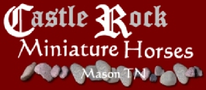 Castle Rock Miniature Horses in Mason Tennessee